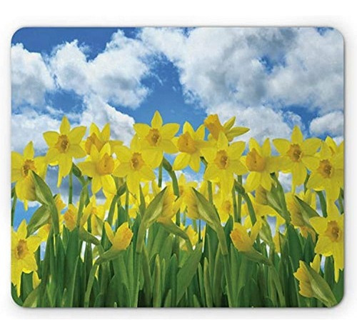 Narcisos Mouse Pad Por Lunares Campo De Flores De Narciso Co