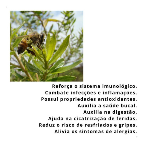 Green Própolis Verde Liquido 30ml Vital Atman Sabor Natural