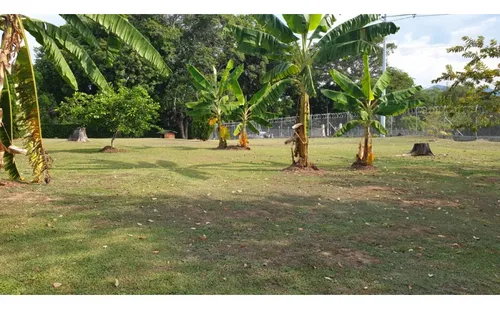 Lote En Venta Sopetran
