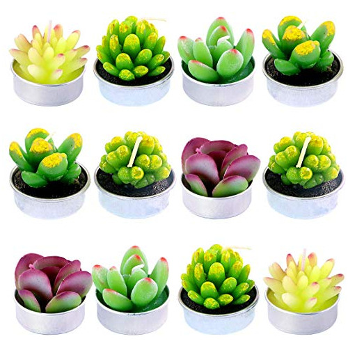 Juego De 12 Velas Decorativas De Cactus Suculentas, Bon...