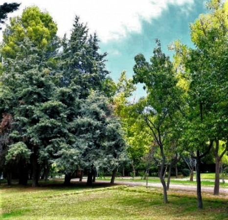 Imagen 4 de 9 de Greenwood Vende Hermoso Lote En El Paradisiaco Barrio Country Club Maipu