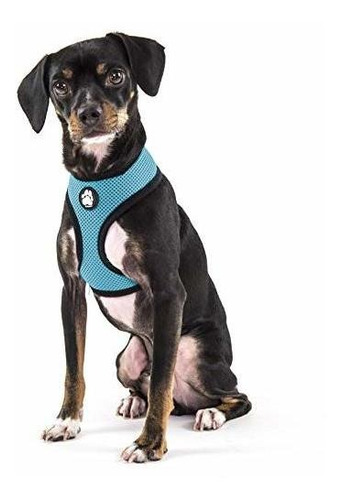 Collar De Perro De Mascota Furhaven | Chaleco De Arnes Para