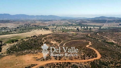 Imagen 8 de 9 de 1 A 5 Hectáreas En Valle De Guadalupe A Espaldas De Casa Fri