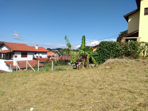 Imagem 7 de 12 de Terreno - Vila Nova - Ref: 140482 - V-140482