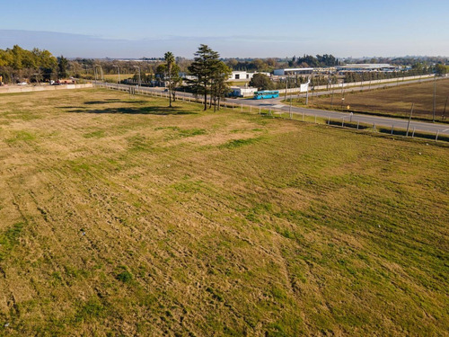 Imagen 15 de 21 de Lotes Industriales En Baigorria De 2.500 A 18.000 M2