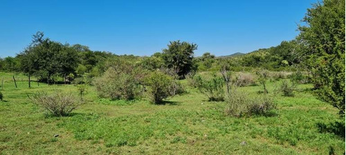Imagen 24 de 29 de Venta Campo Falda Del Cañete-8,5 Has- Con Vista