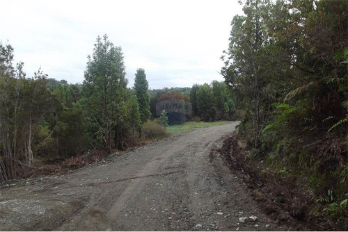 Imagen 5 de 30 de Parcela De Agrado En Chiloé