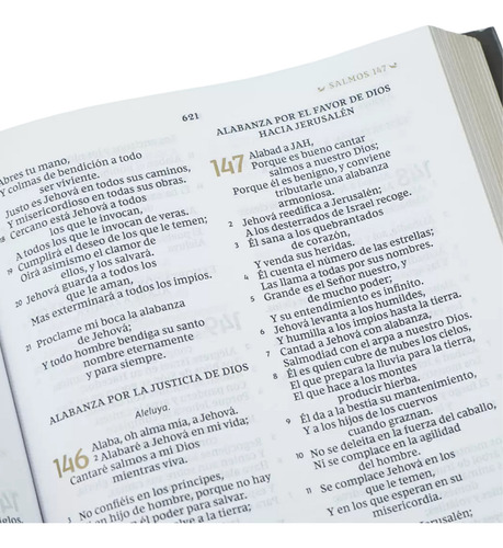 Biblia Reina Valera Revisada Reflexiones De C. S. Lewis T/d
