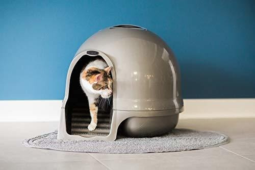 Arenero Para Gato Booda Petmate Cleanstep Dome