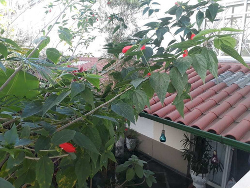 Imagem 4 de 29 de Casa De Condomínio Com 3 Dorms, Taboão, São Bernardo Do Campo - R$ 415 Mil, Cod: 3625 - V3625