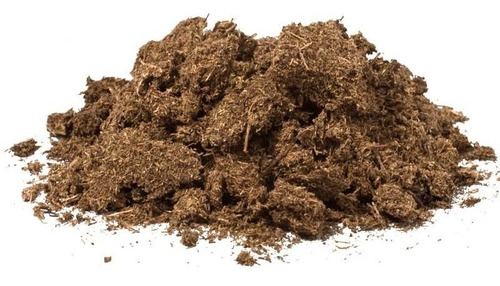 1 Kg Peat Moss Turba Sphagnum Hidroponia Terrarios Reptiles