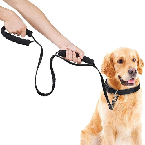 Ayada Heavy Duty Dog Leash For Large And Medium Dogs, No Pul