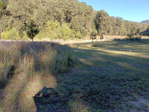 En El Temporal, Ideal Para Tu Rancho.