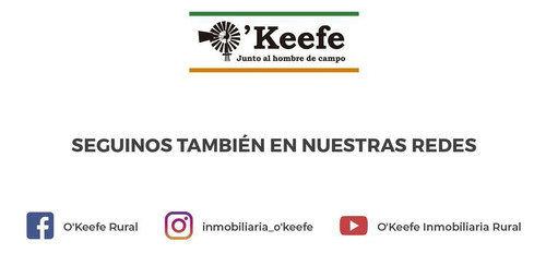 Campo En Venta De 300 Has Santa Maria, Catamarca