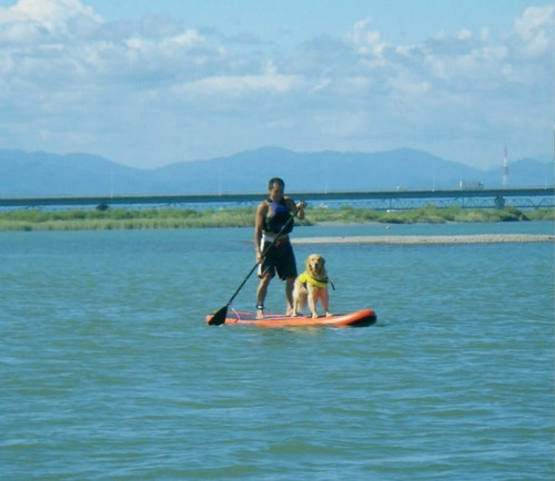 Imagen 7 de 13 de Tabla Sup Inflable 8`5 Surf Paddle Coral Sea Hifei Ap Nauti