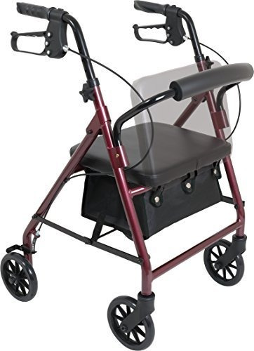 Andador Caminador De Aluminio Resistente Bariátrico 113 Kgs