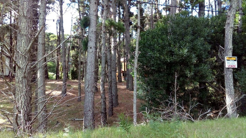 Imagen 7 de 8 de Terreno En Venta En Mar Azul