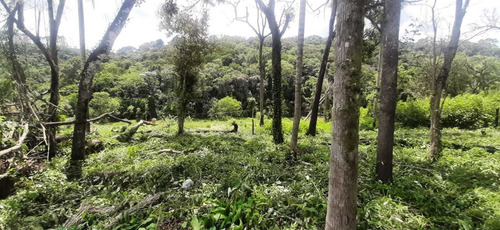 Em Mairinque, Vendo Ótimos Terrenos E Chácaras