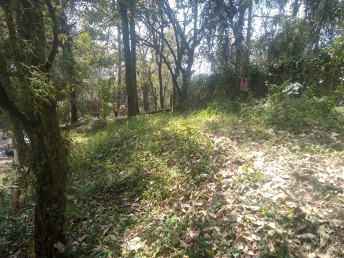 Terreno Real Monte Casino