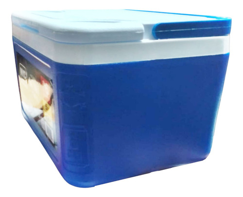 Hielera Mini 5 Qt Termica Portatil 6 Latas 0100 Nyc