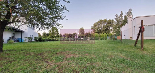 Imagen 25 de 30 de Susana Aravena Propiedades Lote En Venta Ayres Plaza Pilar