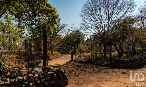 Venta Terreno 0 Ambiente Santo Domingo Ocotitlán