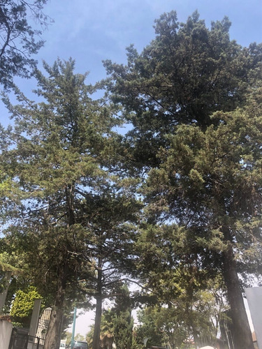 Terreno En Venta Rancho San Juan Cod. Vte727