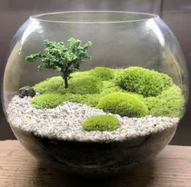 Comprar Acuarios Peceras Terrario Reptilera