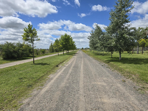 Venta Terreno En Campos De La Enriqueta