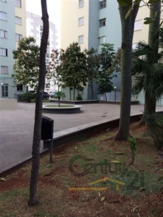 Imagem 3 de 8 de Apartamento, Venda, Vila Guilherme, Sao Paulo - 5575 - V-5575