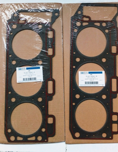 Empacadura Camara Ford Explorer Sporttrac 4.0 4cadenas (par)