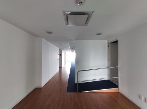 Oficina En Renta -reforma Piso 10- 214 M2