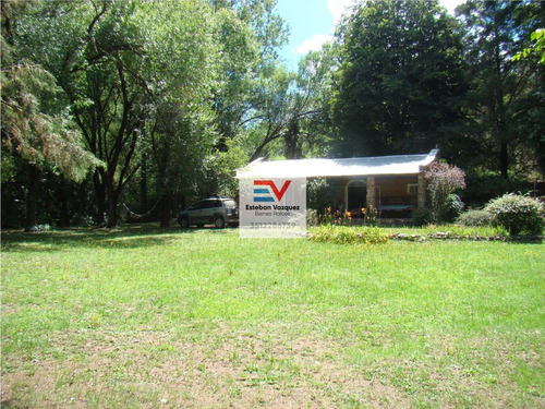 Imagen 16 de 30 de Venta. 67 Hectareas En Candonga, Cordoba. Con 2 Km De Costa De Rio. Titulos Perfectos