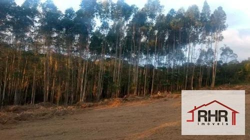 Imagem 5 de 10 de Terreno Em Condomínio Para Venda Em Mogi Das Cruzes, Biritiba-ussu - 153_1-2242802