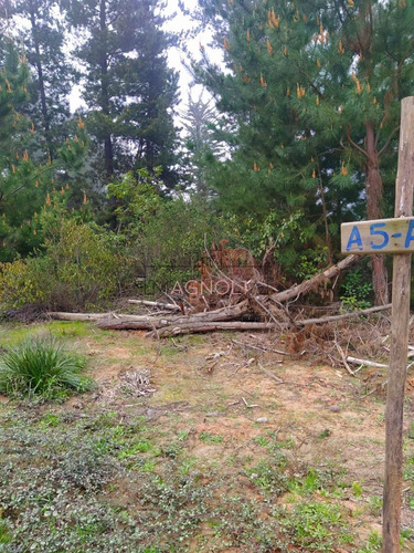 Sitio En Venta De 1500 M2 Camino A Puertecillo, Navidad