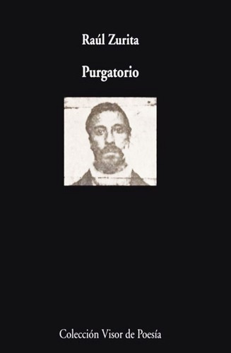 Purgatorio - Raul Zurita - Libro - Envio En El Dia