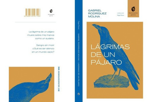 Lagrimas De Un Pajaro - Gabriel Rodriguez Molina, de Gabriel Rodríguez Molina. Editorial Buenos Aires Poetry en español