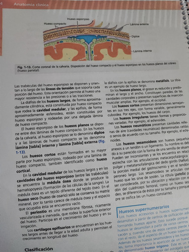 Anatomía Clínica Pró 2da Ed Full Color A4
