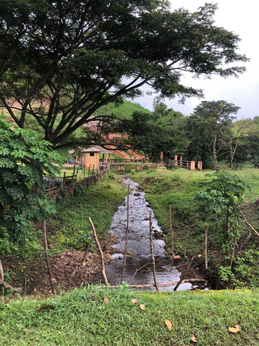 Finca Ganadera En Venta Tinaquillo S/la Pica Anny