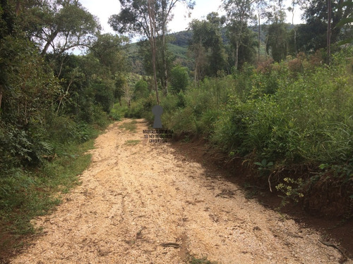 Chácara A Venda No Bairro Centro Em Bocaiúva Do Sul - Pr. - 450-1
