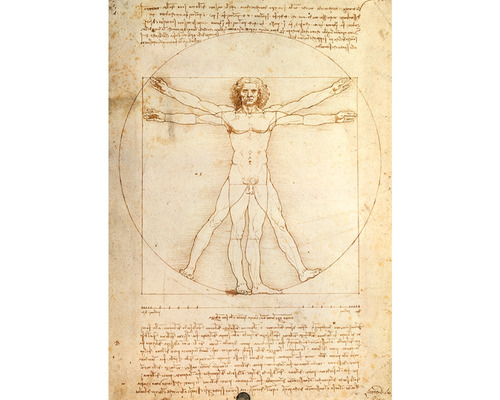 Rompecabezas Ravensburger Da Vinci: El Hombre 1000 Pzas