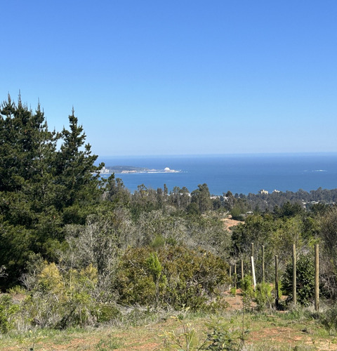 Casa Increíble Vista Al Mar En Algarrobo