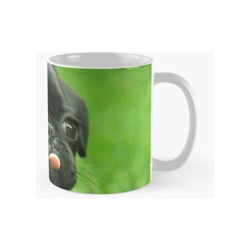 Taza Pug Negro Calidad Premium