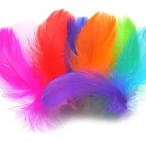 Comprar Pluma Pesca Armar Señuelos Cebo Jarcstore Pesca