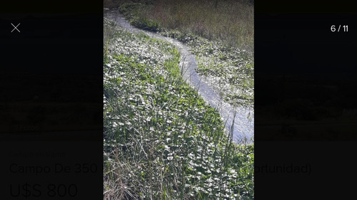 Imagen 5 de 14 de Gran Oportunidad!!! Vendo Campo En Pesos!!! Dueño Directo.