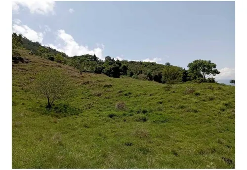 Vendo Finca De 30 Cuadras En Damasco Para Ganadería Cerca La Pintada
