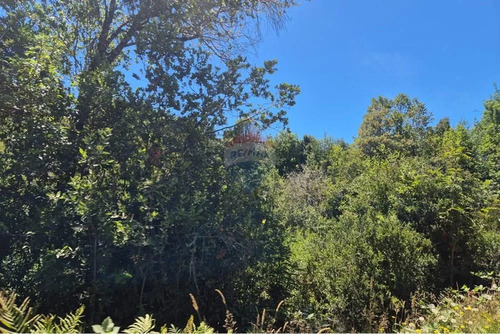 Venta Parcela En Condominio Rio Puntra Ancud