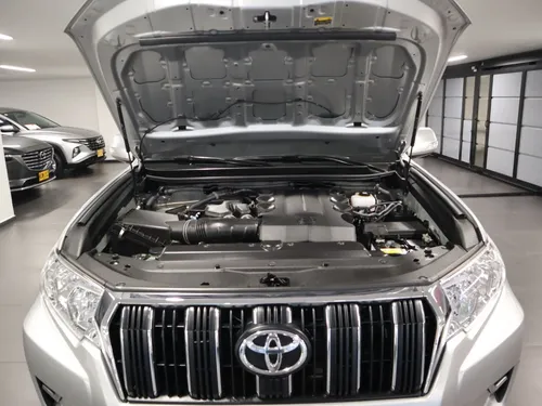 Toyota Prado 4.0 Tx-l Fl 2 Ii