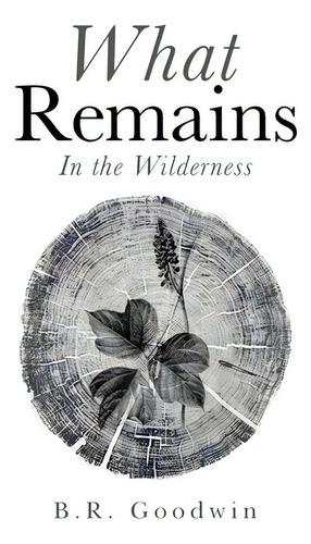 What Remains: In The Wilderness, De Goodwin, B. R.. Editorial Westbow Pr, Tapa Dura En Inglés