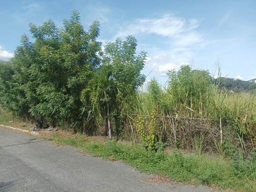 Se Vende Terreno 1 Etapa Ciudad Alianza Guacara Att-214